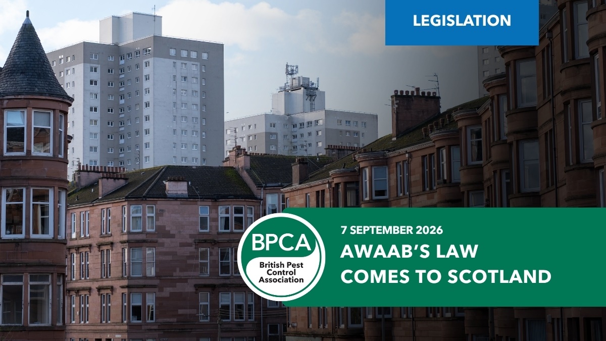 awwabslawcomestoscotlandbpca1